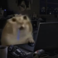 drooling cat
