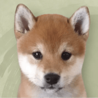 name? logo