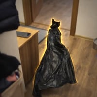 Batcat