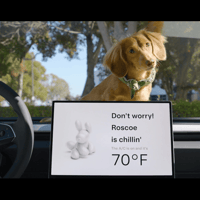 Roscoe