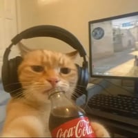 COOLCAT logo