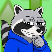 Racc the Raccoon