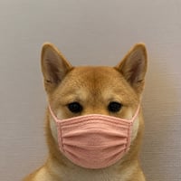 WIFMASK