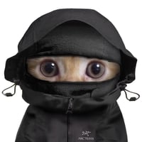 Hood Cat