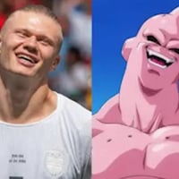 Majin Buuland