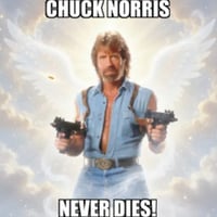 Chuck Norris Never Dies
