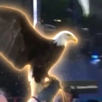 The Whitehouse Eagle