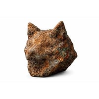 copper inu