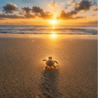 The Nietzschean Turtle