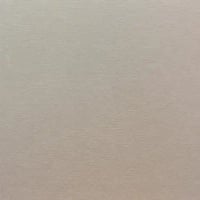 invisibull logo
