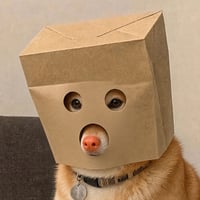 Anonnymous Dog