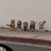 Catoween