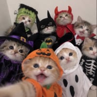 NEKUWEEN logo