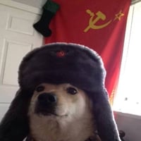 cdog