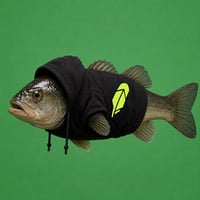 Fih In Hood