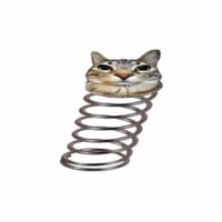 Bounce Cat