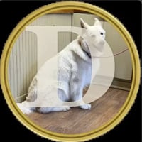 DOGE2