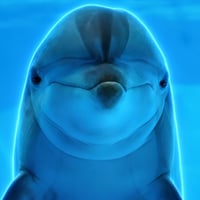 Dolphin Intelligence