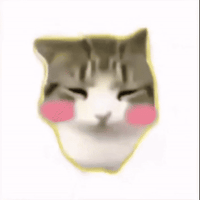 hula cat