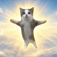 Happy Cat