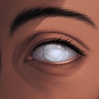 End My Blindness logo