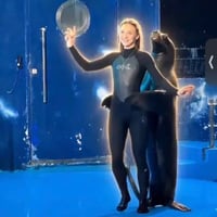 The Rizzler Sea Lion