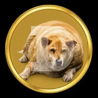 DOGE logo