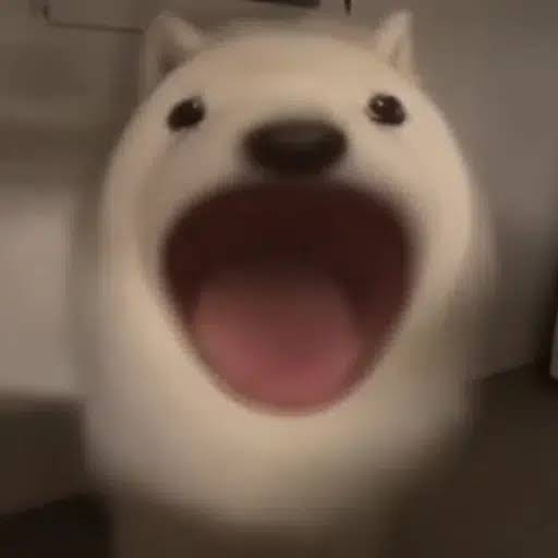 BDSsk665JA6Bu9hRqWbdiEYTg7mXHJbWERTEwYTXpump