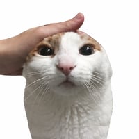 Ramcat