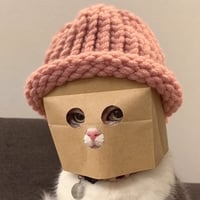 Anonymous Cat Wif Hat