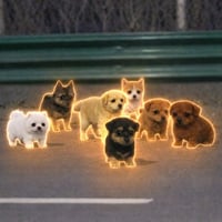 the 7 mini wanderers