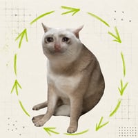 CASHCATSTR