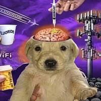 Psyop Dog