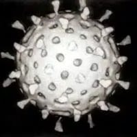Rotavirus logo