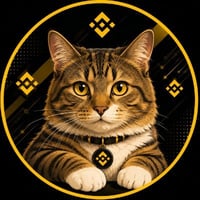 Binance Cat