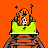 Bitcoin Roller Coaster Guy