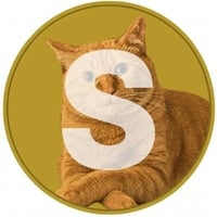 Solya The Cat