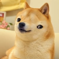 SI