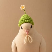 pigeonwifhat