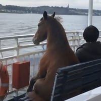 Kyzee 标识