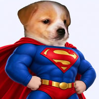 Logo de SuperButch