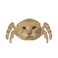 SPIDERCAT