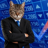 StonkCat