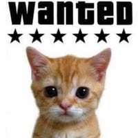 WANTED