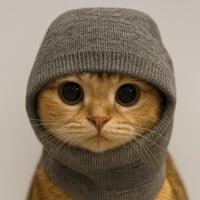Sock And Pussy 500