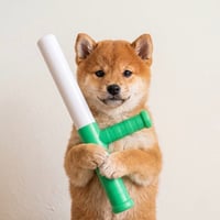 Baton