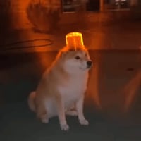 INUINUINUINU