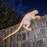 The Humanoid Predator