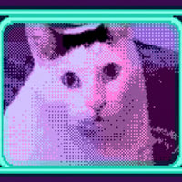 Huhcat