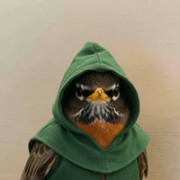 Robin wif Hood